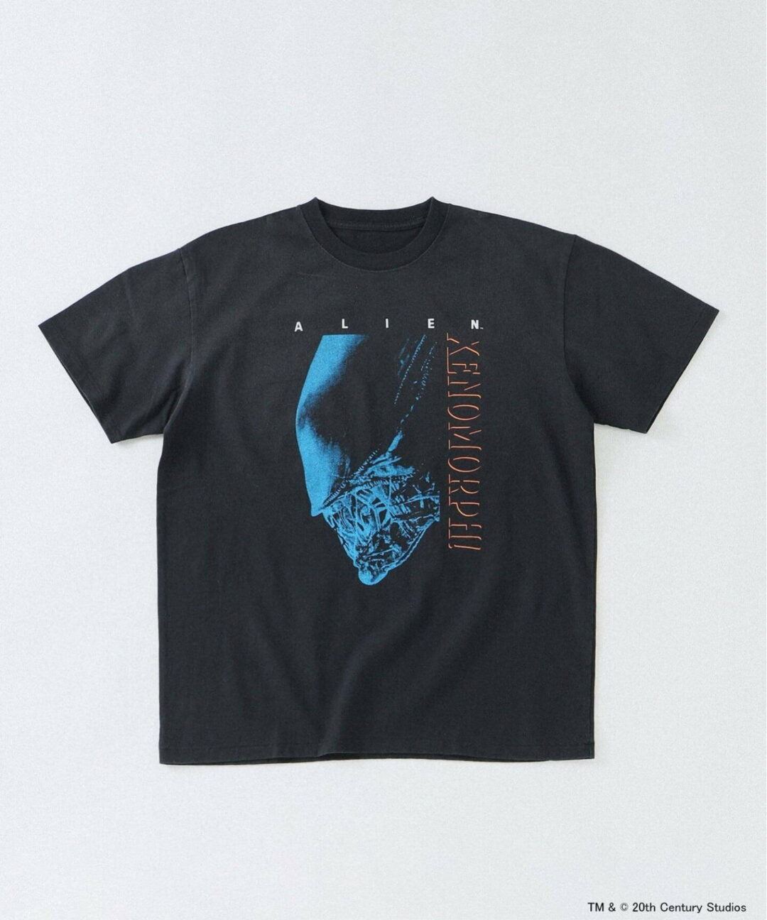 JOURNAL STANDARD 2026 SS “ムービー アーカイブ プリント Tシャツ”が6月上旬 発売 (ジャーナルスタンダード “Movie Archive Print T-Shirt”)