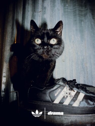 【2026年 5/30 発売予定】Drama Call × adidas Originals SUPERSTAR II “Black/White” (ドラマコール アディダス オリジナルス スーパースター 2) [JP8392]