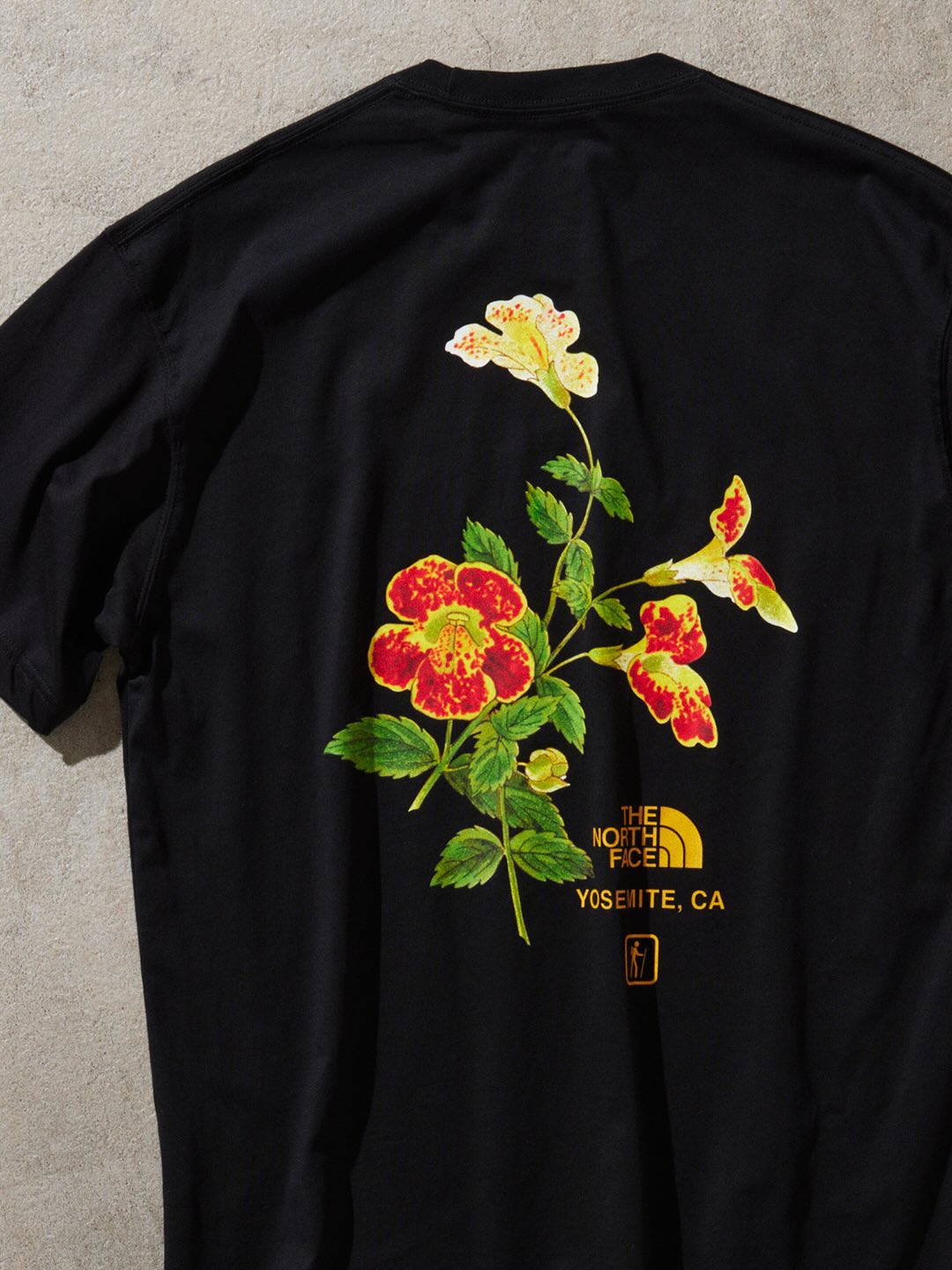 THE NORTH FACE 2026 SUMMER TEE COLLECTIONが発売 (ザ・ノース・フェイス 2026年 夏/サマー コレクション)