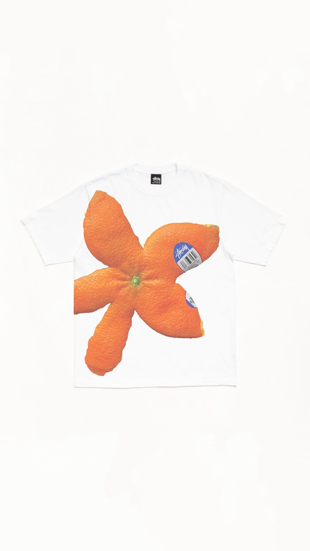 STUSSY 2026 SPRING WOMENS SWIMが発売 (ステューシー ウィメンズ スイム)