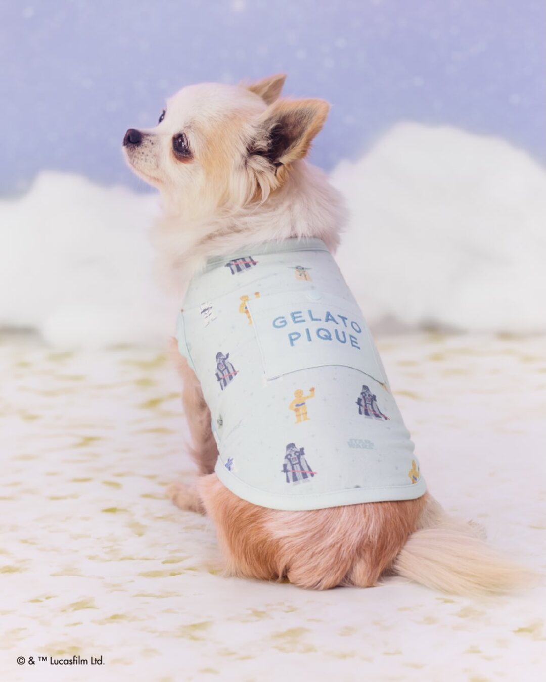 GELATO PIQUE × STAR WARS Collectionが2026年 6/5 発売 (ジェラート ピケ スター・ウォーズ)