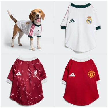adidas Originals “Dog Soccer Jerseys 2026 FIFA World Cup Team”が発売 (アディダス オリジナルス “ドッグ サッカー ジャージ ワールドカップ チーム”) [KX3898]