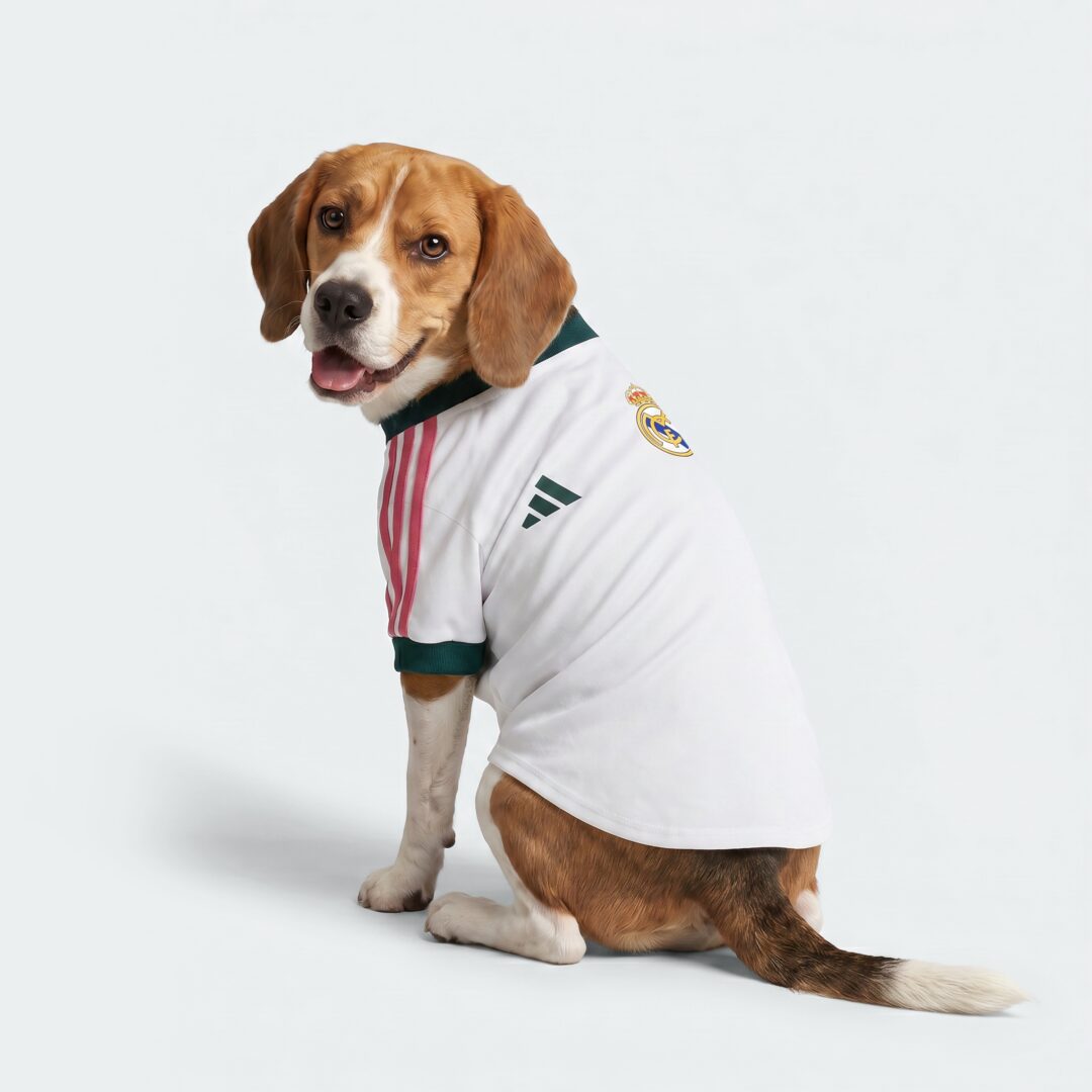 adidas Originals “Dog Soccer Jerseys Team”が発売 (アディダス オリジナルス “ドッグ サッカー ジャージ チーム”) [KX3898]