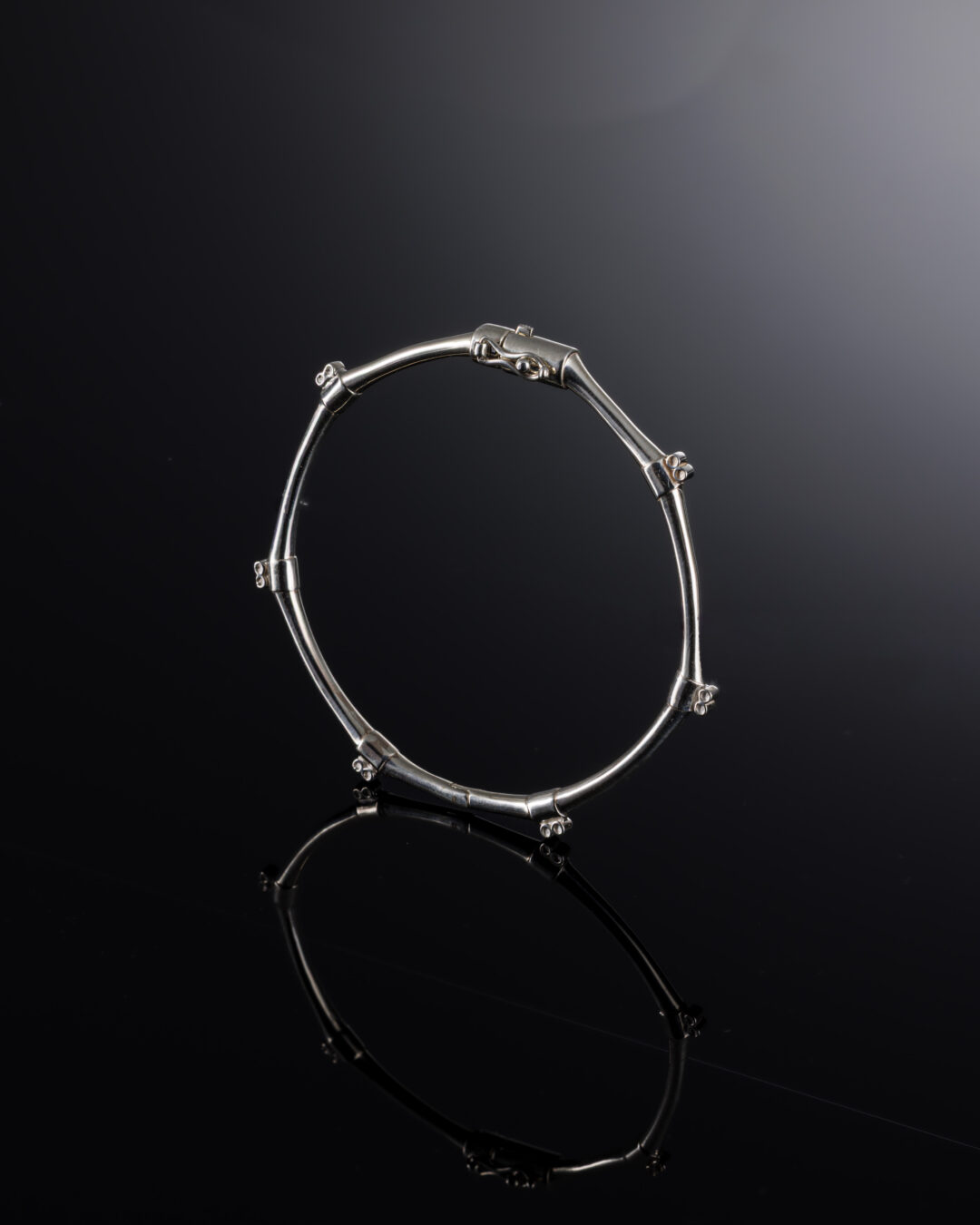 Schott から「The SILVER」COLLECTIONが2026年 6/12 発売 (ショット ザ・シルバー コレクション)