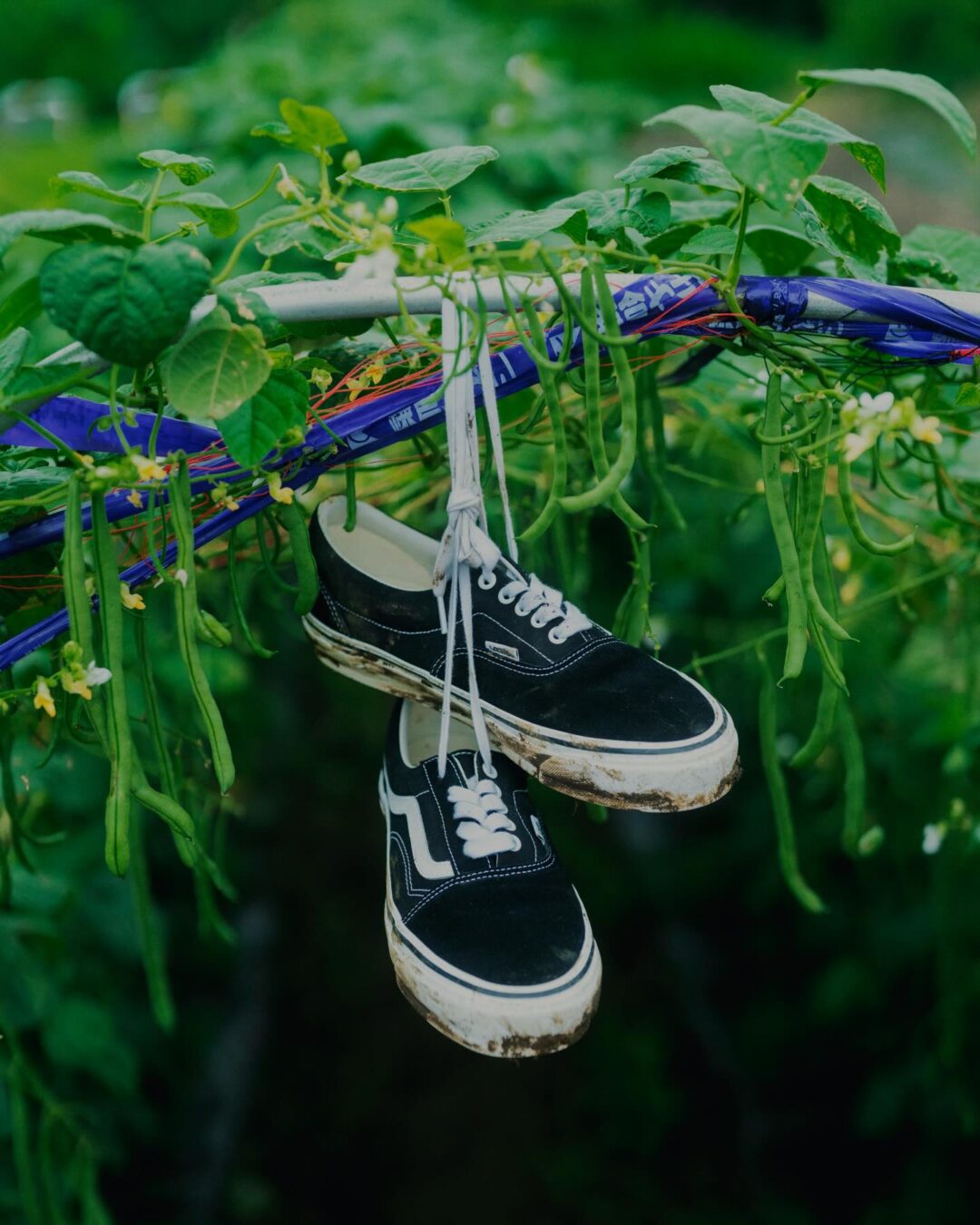 BEAMS × OTW by VANS SKOOL ERAが2026年 7/2 & 7/3 発売 (ビームス バンズ スクール エラ)