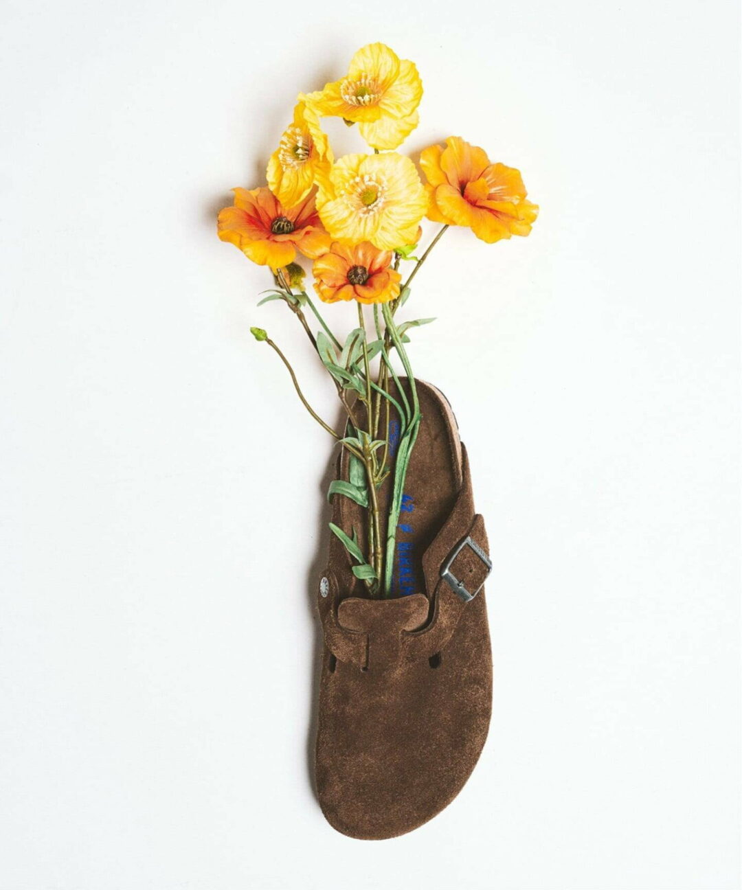 417 EDIFICE × BIRKENSTOCK 2026 FW 別注 “Boston SFB Narrow”が8月下旬 発売 (エディフィス ビルケンシュトック ボストン)