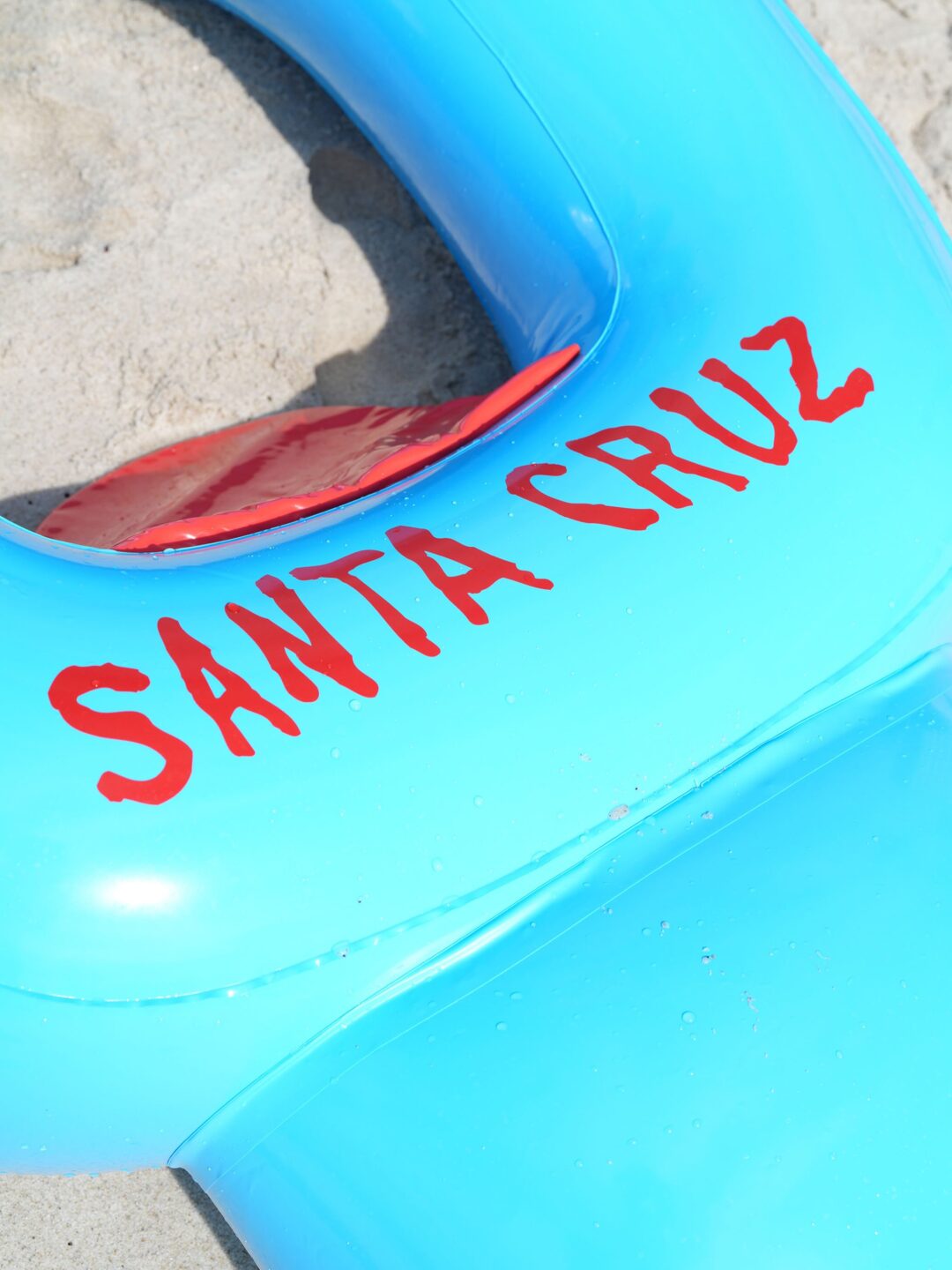 【全世界500個限定】SANTA CRUZ “SCREAMING FLOAT”が発売 (サンタクルーズ “スクリーミング フロート”)