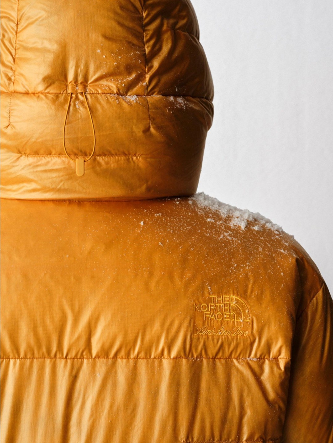 【国内 2026年 9/18 発売】Aime Leon Dore x THE NORTH FACE 2026 FW (エメ レオン ドレ ザ・ノース・フェイス 2026年 秋冬)