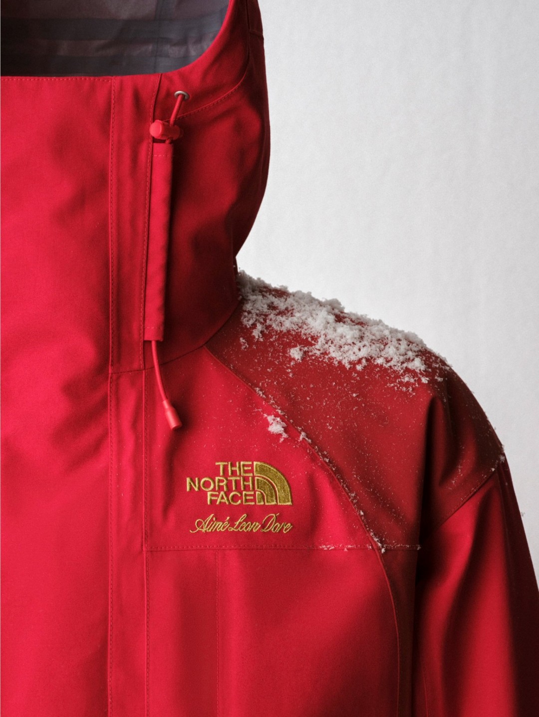【国内 2026年 9/18 発売】Aime Leon Dore x THE NORTH FACE 2026 FW (エメ レオン ドレ ザ・ノース・フェイス 2026年 秋冬)