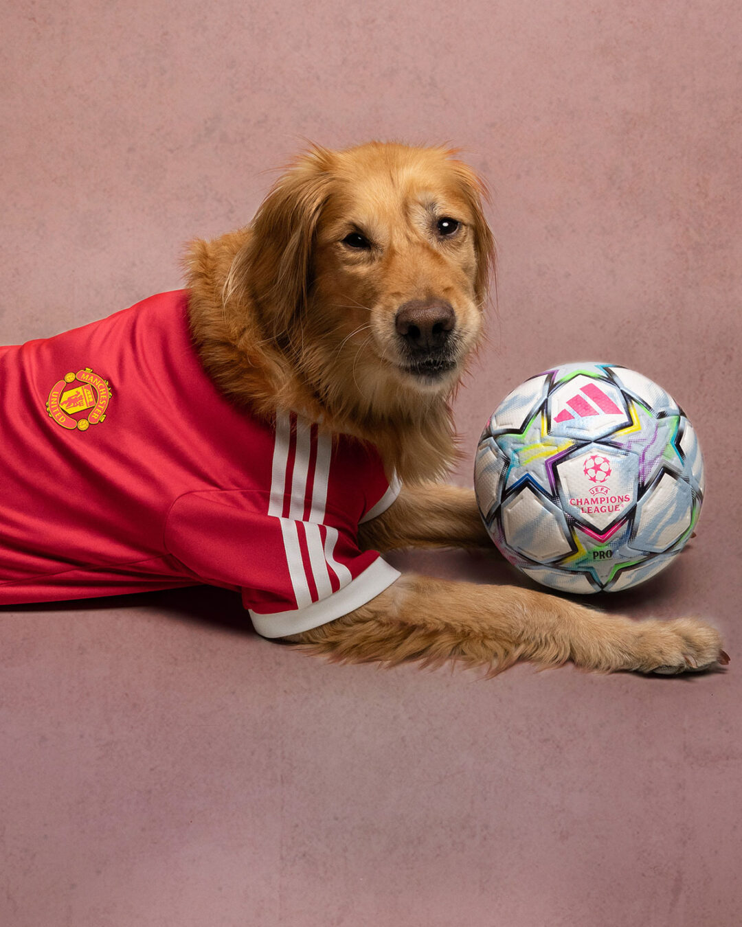 adidas Originals “Pet Soccer Club Football 26/27 Jerseys”が2026年 8月 発売 (アディダス オリジナルス “ペット サッカー クラブ フットボール ジャージ”)