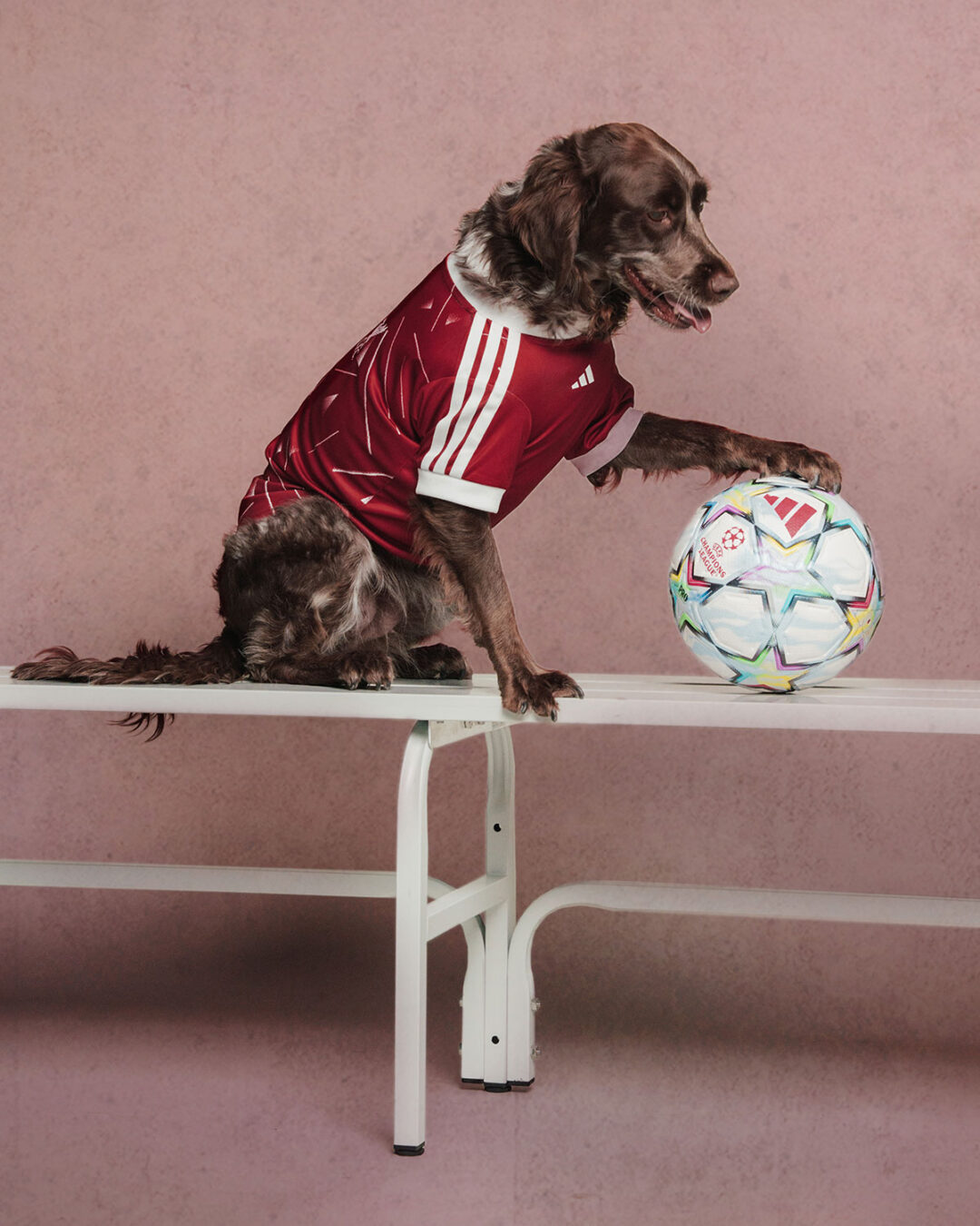 adidas Originals “Pet Soccer Club Football 26/27 Jerseys”が2026年 8月 発売 (アディダス オリジナルス “ペット サッカー クラブ フットボール ジャージ”)