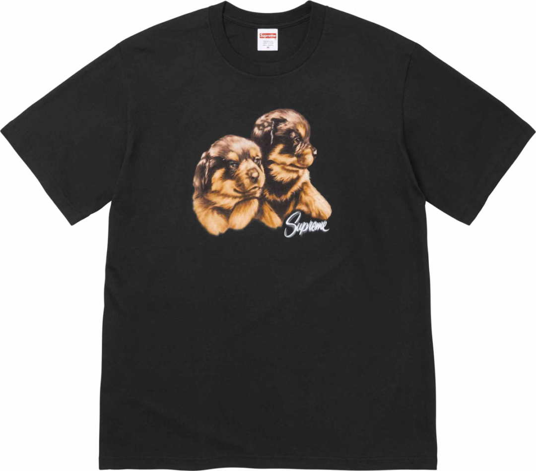 【シュプリーム/SUPREME】”Tシャツ/TEE” まとめ 2026 FALL/WINTER コレクション (2026年 秋冬)