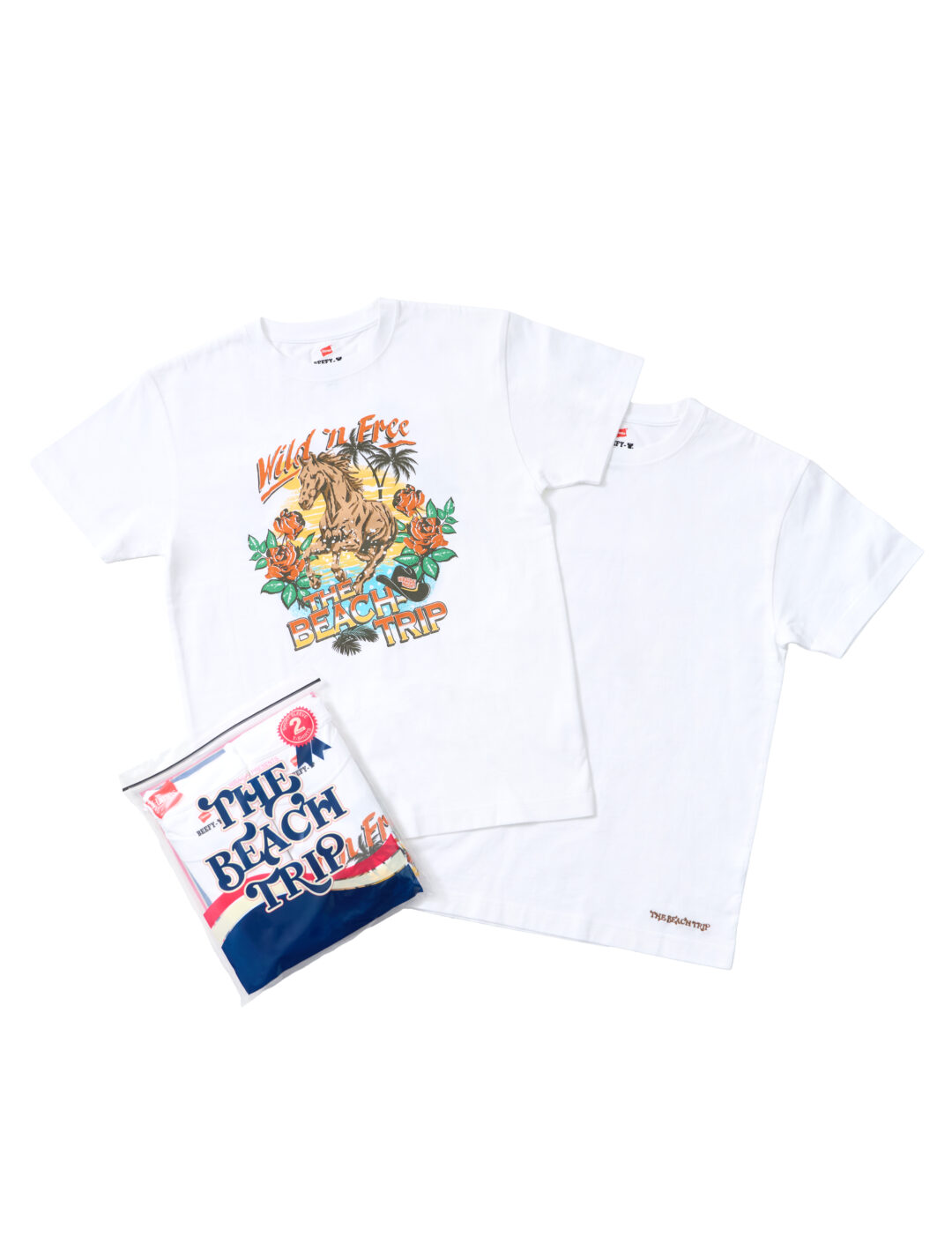 Hanes × シンガーソングライター「平井 大」”THE BEACH TRIP 2P BEEFY-T T-SHIRTS”が2026年 10/1~順次発売 (ヘインズ)