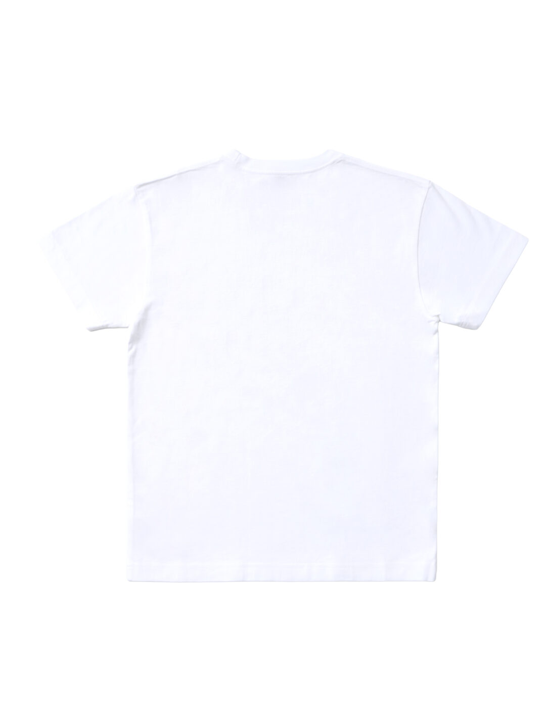 Hanes × シンガーソングライター「平井 大」”THE BEACH TRIP 2P BEEFY-T T-SHIRTS”が2026年 10/1~順次発売 (ヘインズ)