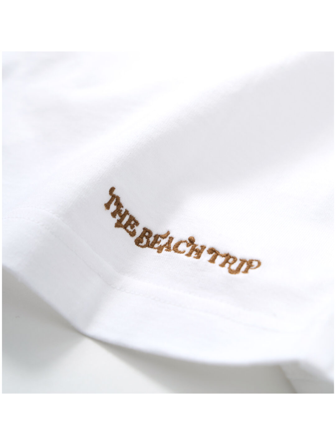 Hanes × シンガーソングライター「平井 大」”THE BEACH TRIP 2P BEEFY-T T-SHIRTS”が2026年 10/1~順次発売 (ヘインズ)