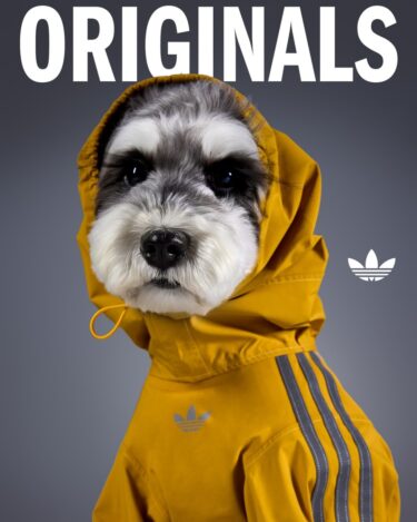 adidas Originals “Pet Collection 2026 WINTER”が海外発売 (アディダス オリジナルス “ペットコレクション 2026 冬/ウィンター”)