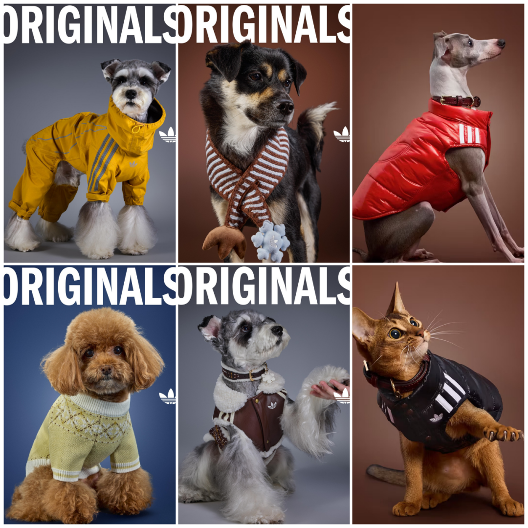 adidas Originals “Pet Collection 2026 WINTER”が海外発売 (アディダス オリジナルス “ペットコレクション 2026 冬/ウィンター”)