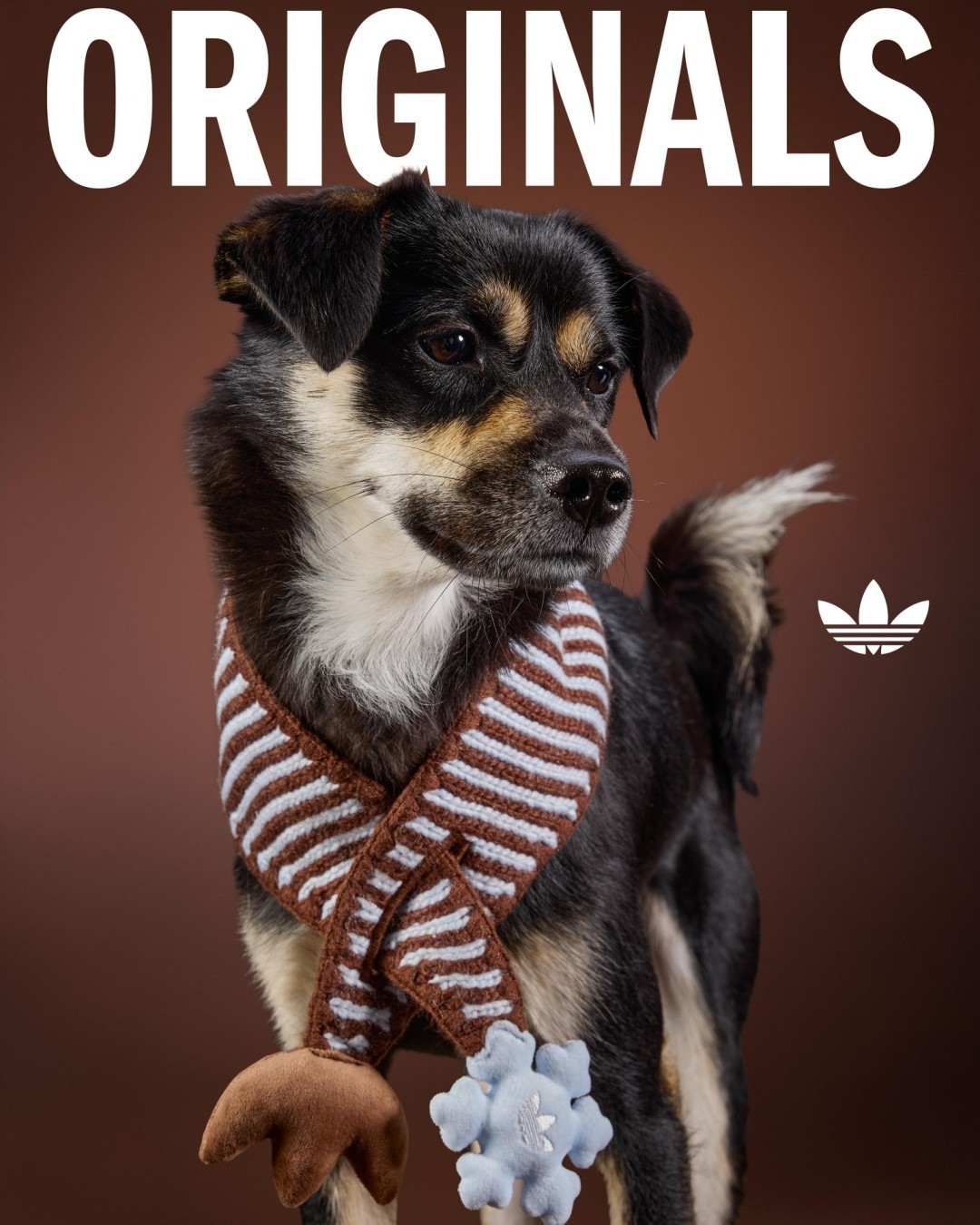 adidas Originals “Pet Collection 2026 WINTER”が海外発売 (アディダス オリジナルス “ペットコレクション 2026 冬/ウィンター”)