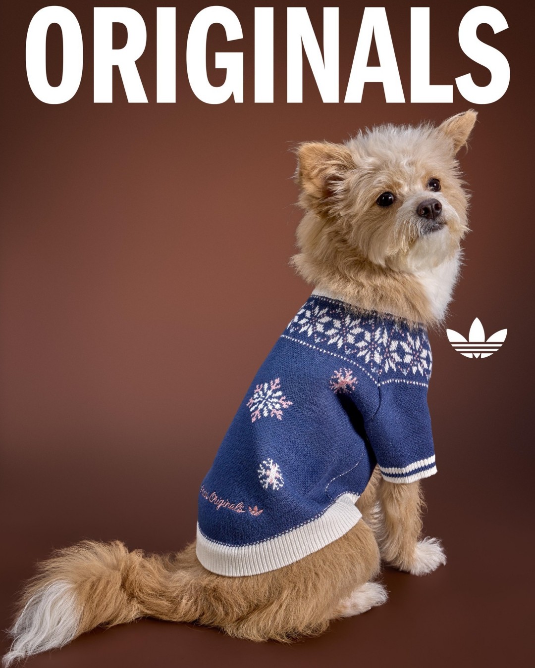 adidas Originals “Pet Collection 2026 WINTER”が海外発売 (アディダス オリジナルス “ペットコレクション 2026 冬/ウィンター”)