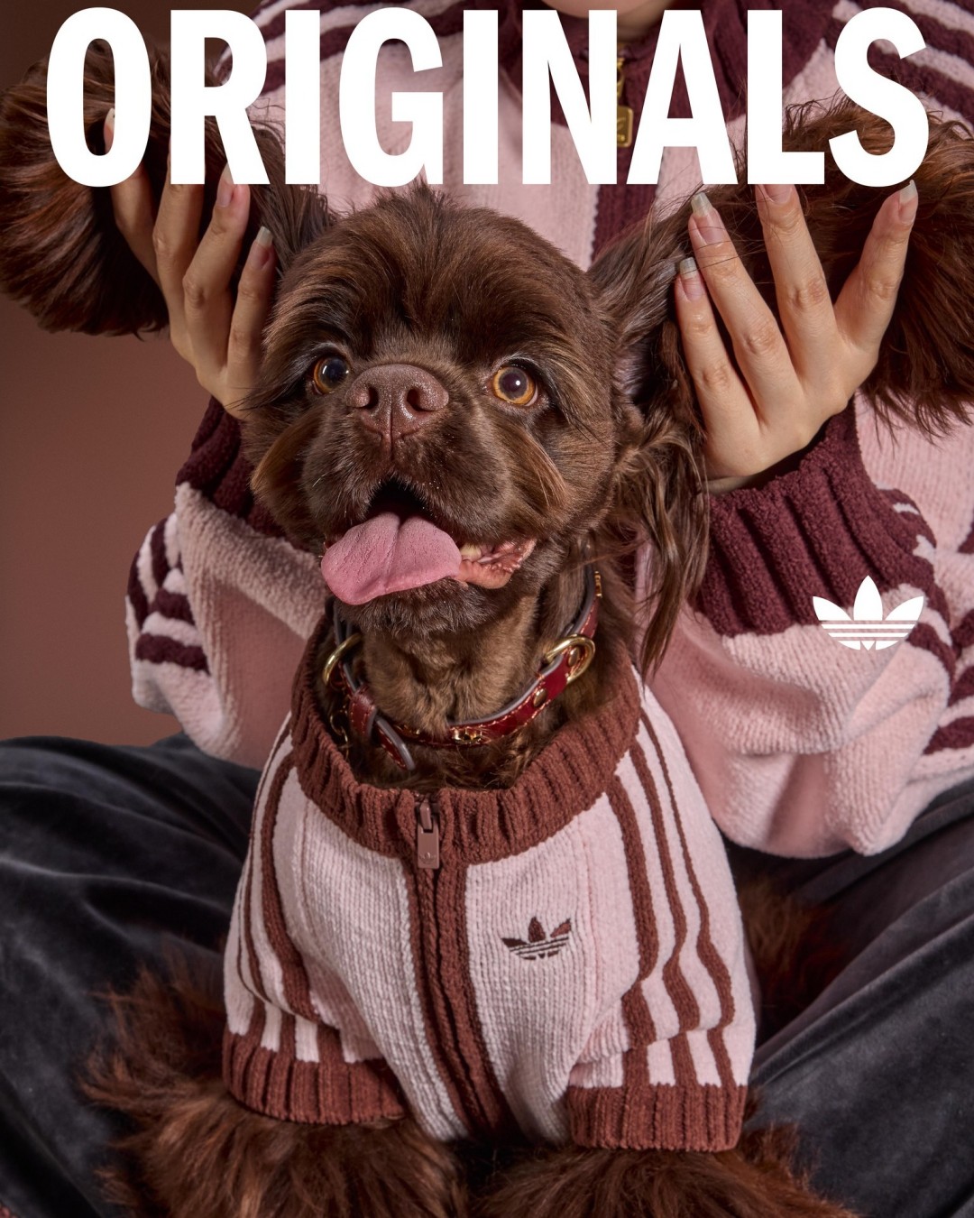 adidas Originals “Pet Collection 2026 WINTER”が海外発売 (アディダス オリジナルス “ペットコレクション 2026 冬/ウィンター”)