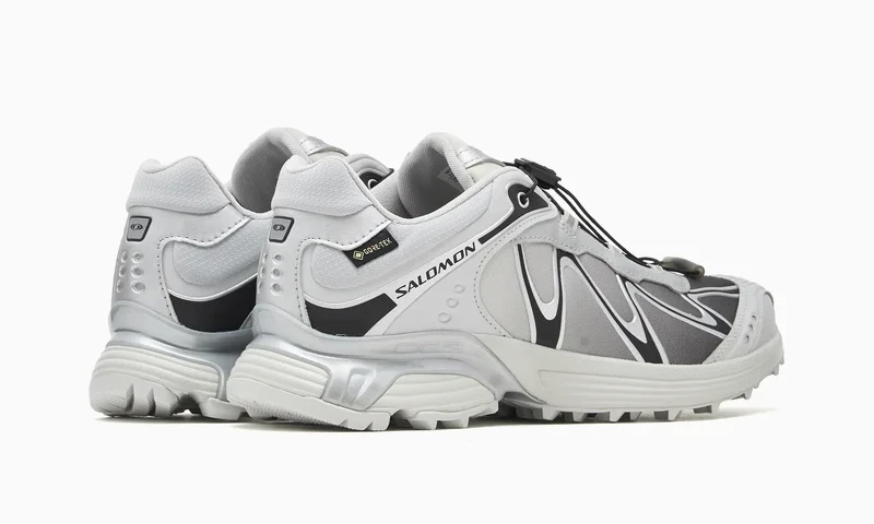 【2026年 10/23 発売】Salomon XT-WHISPER GORE-TEX “Winter Pack/Grey Violet/Delicioso” (サロモン ウィンターパック) [L49192300/L45397800]