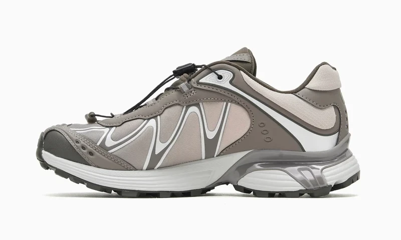 【2026年 10/23 発売】Salomon XT-WHISPER GORE-TEX “Winter Pack/Grey Violet/Delicioso” (サロモン ウィンターパック) [L49192300/L45397800]