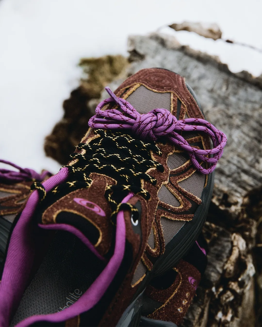 【2026年 10/23 発売】Salomon “EXPEDITION PACK” XT-QUEST & X-ALP & XT-WHISPER & SNOWCLOG OG (サロモン クスペディションパック) [L49177400/L49177400/L49193100/L49180400]